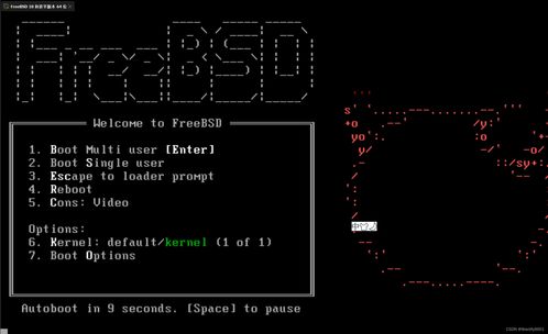 虚拟化与实体 FreeBSD UNIX系统在VMware上的安装与建筑物电力系统安装的对比